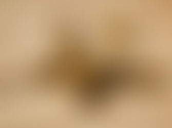 UMA INFORMAÇÃO MISTERIOSA ! UM CRIME COM SETE TIROS EM SERRA DO SALITRE - MG