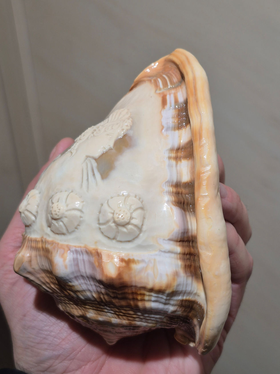 Thumbnail: Coquillage Ancien Sculpté Camée Antique