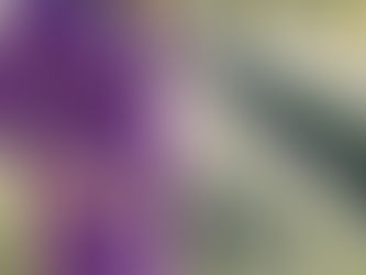 Lavender Maternity Shoot