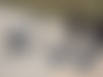 The Use of Drones in Executive Protection