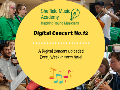 Digital Concert No.12