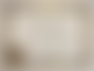 Wat een bijzondere mijlpaal...