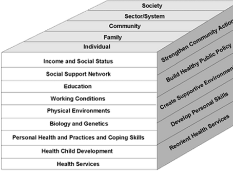 The Ottawa Charter: evaluating action areas