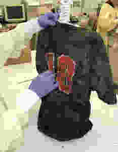Jersey Twilight Was Wearing When Her Body Was Discovered