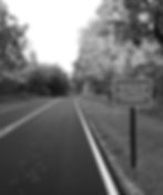 pc5bw 3036