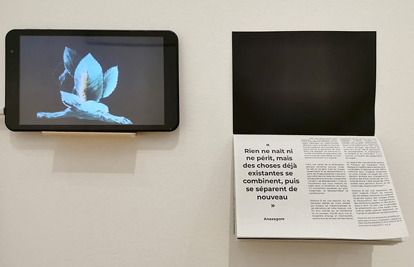 _Collectif-VOST-Proxima-B-Selection-des-Boutographies-2021-Montpellier-04.jpeg