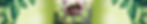 Img banner020.jpg