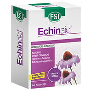 ECHINAID-60cps-n.jpg