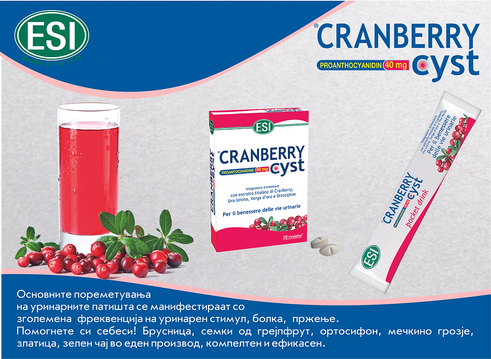 КРАМБЕРИЦИСТ џебно пакување