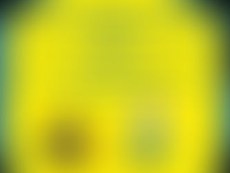 32. Jõhvi/Järve Karikas 2025 - Raul Rõõmus memorial