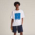 BLUE LIMB CO MERCH