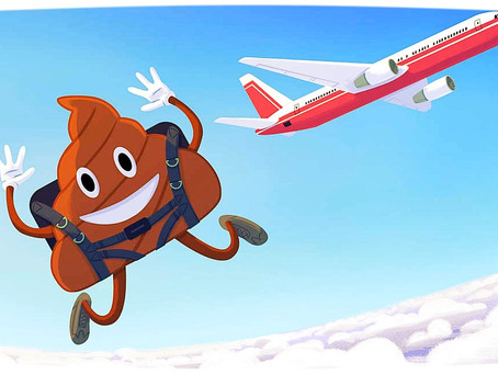 When a flight turns into a fight: daily deafblind downfalls