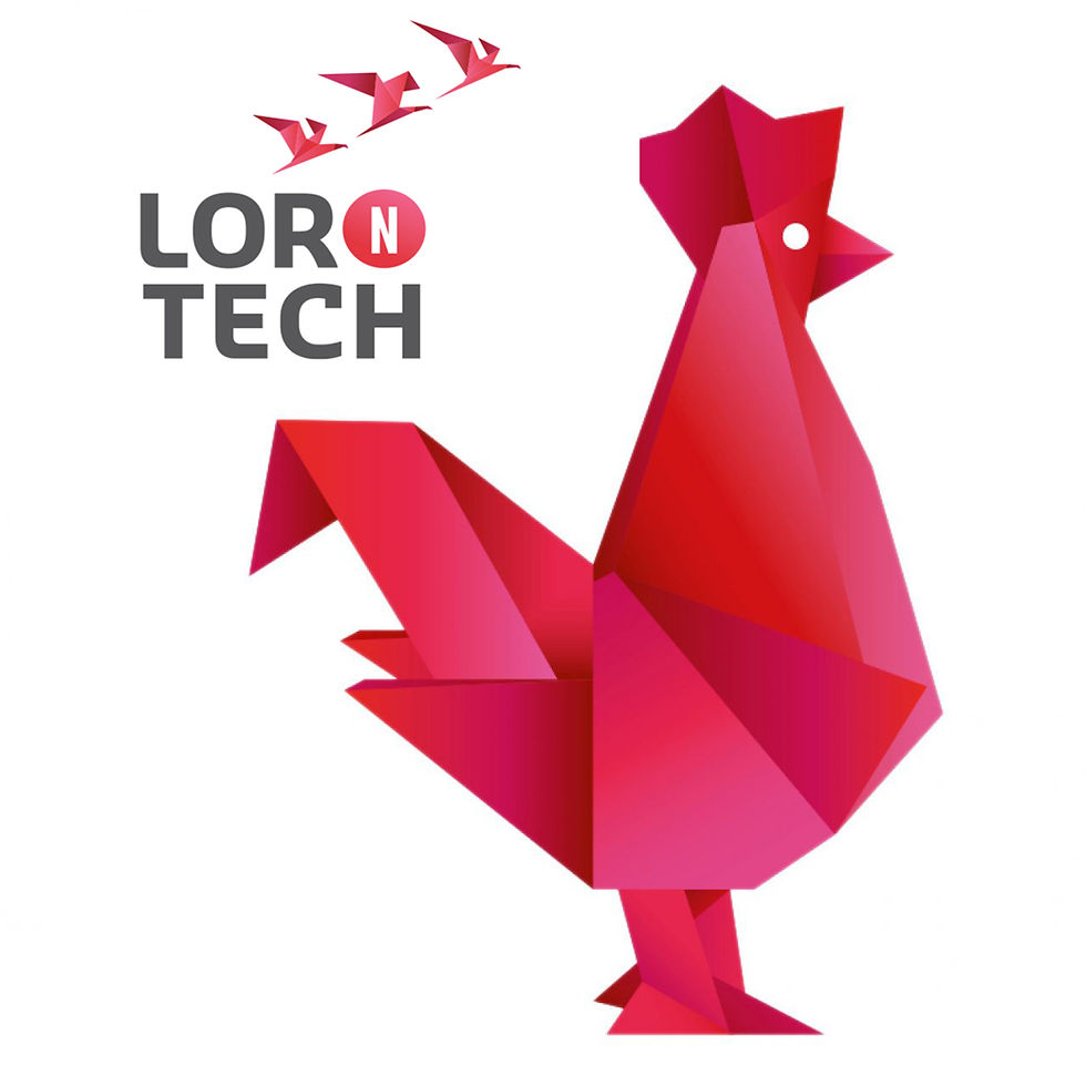 Lor'n'tech FrenchTech DéodaLink