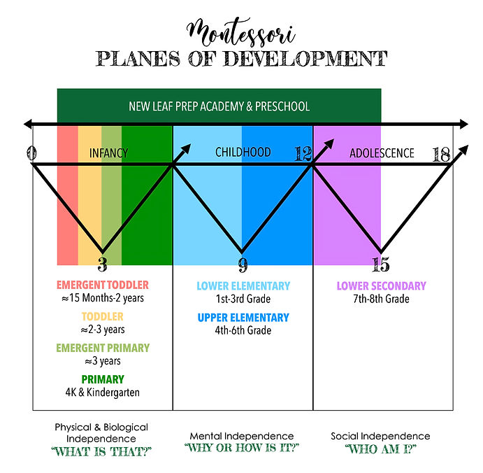 NLPA Planes of Development Web.jp2