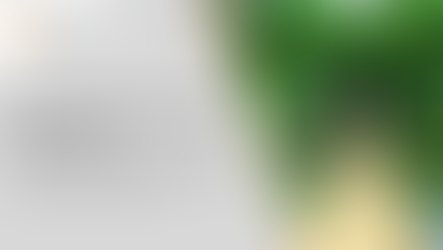 COSTRUIAMO PONTI, NON MURI