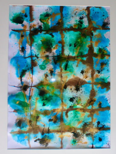 Jardin de la terrasse