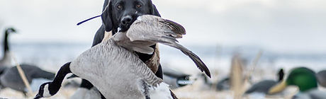 364173602_825947185526353_3407041520006285494_n (1).jpg