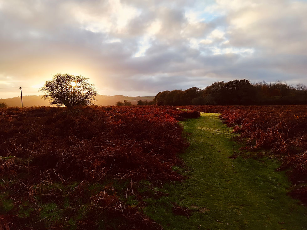 Finding Your Energy Again as the Days Get Darker