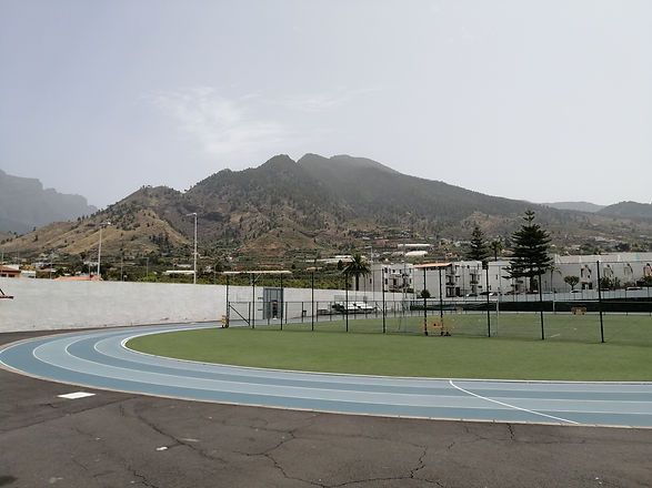 IMG_20210610_123118.jpg