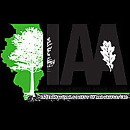 Tree Removal Chicago