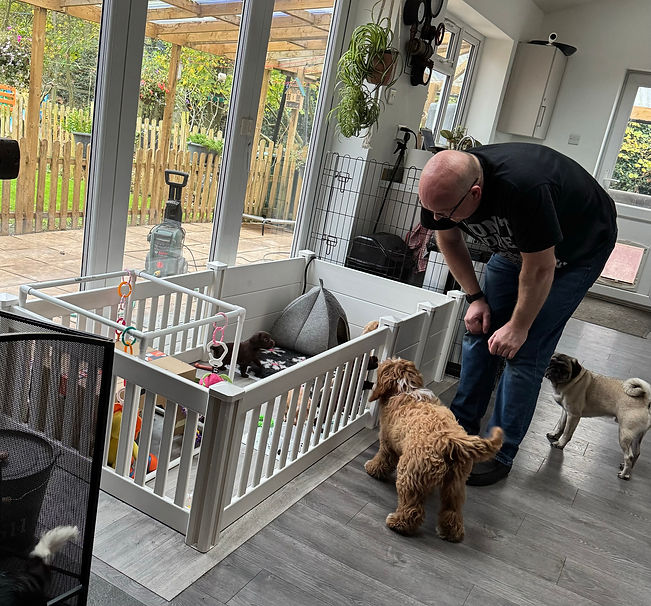 whelping pen photo.jpeg