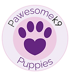 Pawesomek9 puppies logo.png