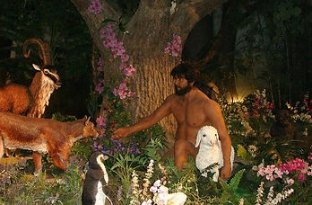 creation-museum Adam.jpg