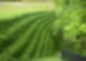 environmental engineering legacy