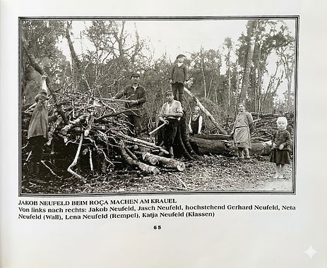 WhatsApp Image 2026-04-05 at 23.13.03.jpeg