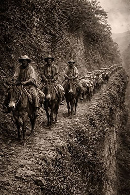 WhatsApp Image 2026-04-18 at 20.35.45.jpeg