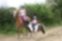 WELLOW TREKKING CENTRE