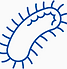 Blue bacteria spore