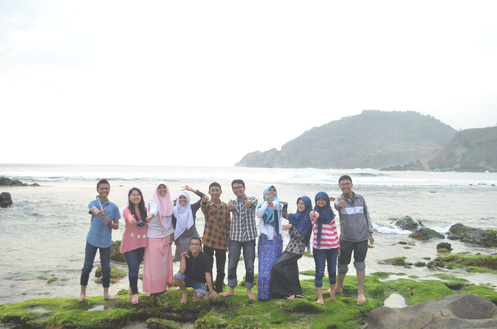 algae di atas tumpukan batu pantai Wediombo