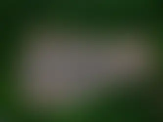 Land Use and Deforestation from Factory Farming