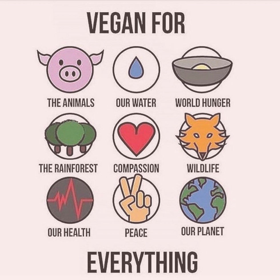 Why Are You Vegan?