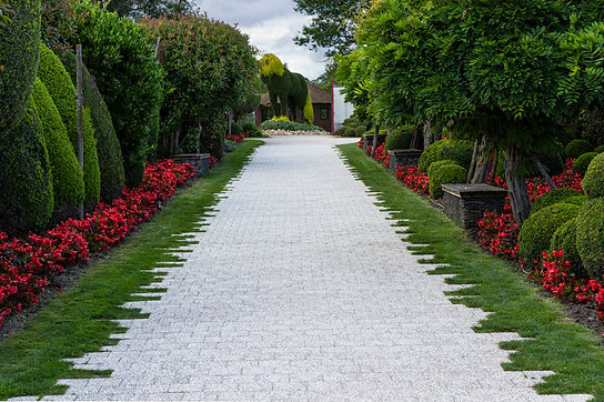 TERRA BOTANICA 3.jpg