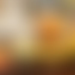 Estrelas Festival: o grande encerramento do ano