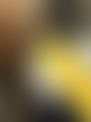 Brazilcore: por que a estética brasileira virou tendência global em 2026