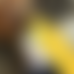 Brazilcore: por que a estética brasileira virou tendência global em 2026