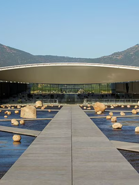 Estrelas Archi leva premiados da campanha 2024 para uma experiência inesquecível na Viña VIK, no Chile