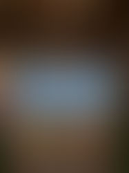 Estrelas Festival: 2ª edição foi um sucesso 