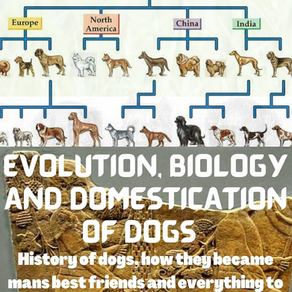 Unraveling the Ancient Lineage: New Insights into the Origins of Domestic Dogs