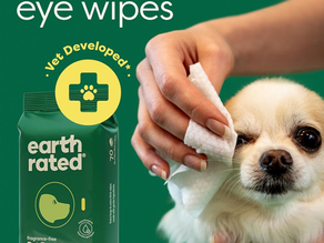 Dog Eye Boogers: What's Normal, What's Not, and How to Keep Your Dog's Eyes Healthy