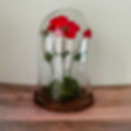 Emroidered poppy sculpture in bell jar