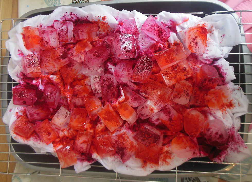 Ice cube fabric dyeing in progress. Fabric covered with ice cubes and fabric dye, over a cooling rack and cat litter tray to catch the drips.