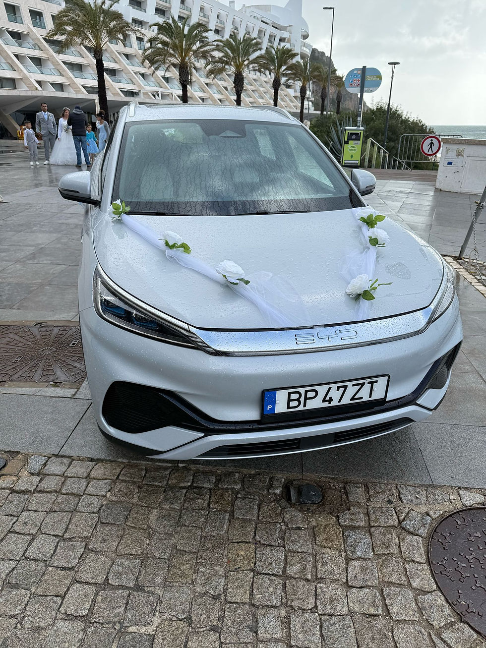 byd4