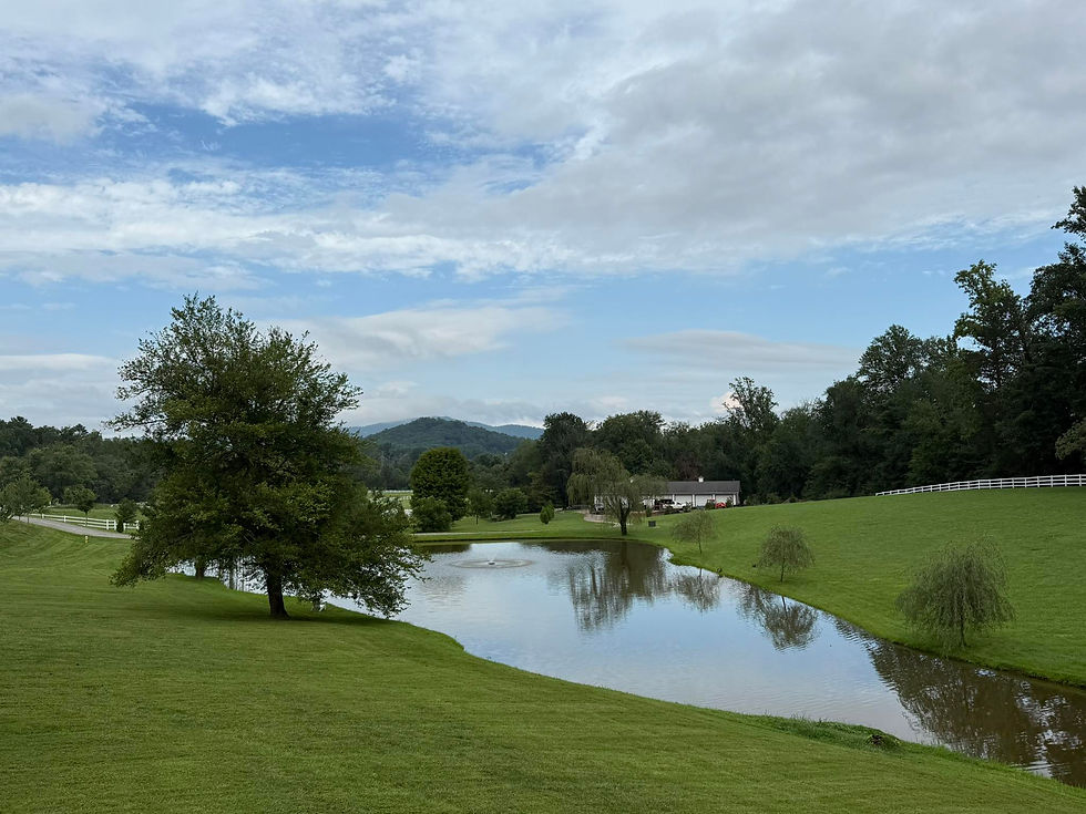 View from Cardinal Suite 1 at The Pond Cottage