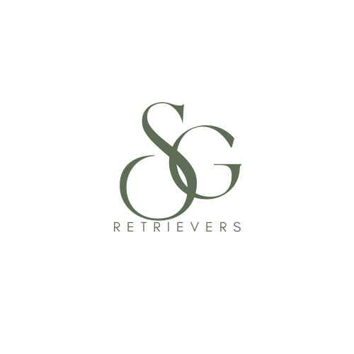 SGR LOGO TRANSPARENT MINIMALIST 2025.png