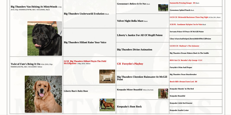 Screenshot 2025-10-14 225619.jpg