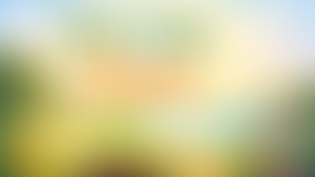 Friday Week 1, Term 1